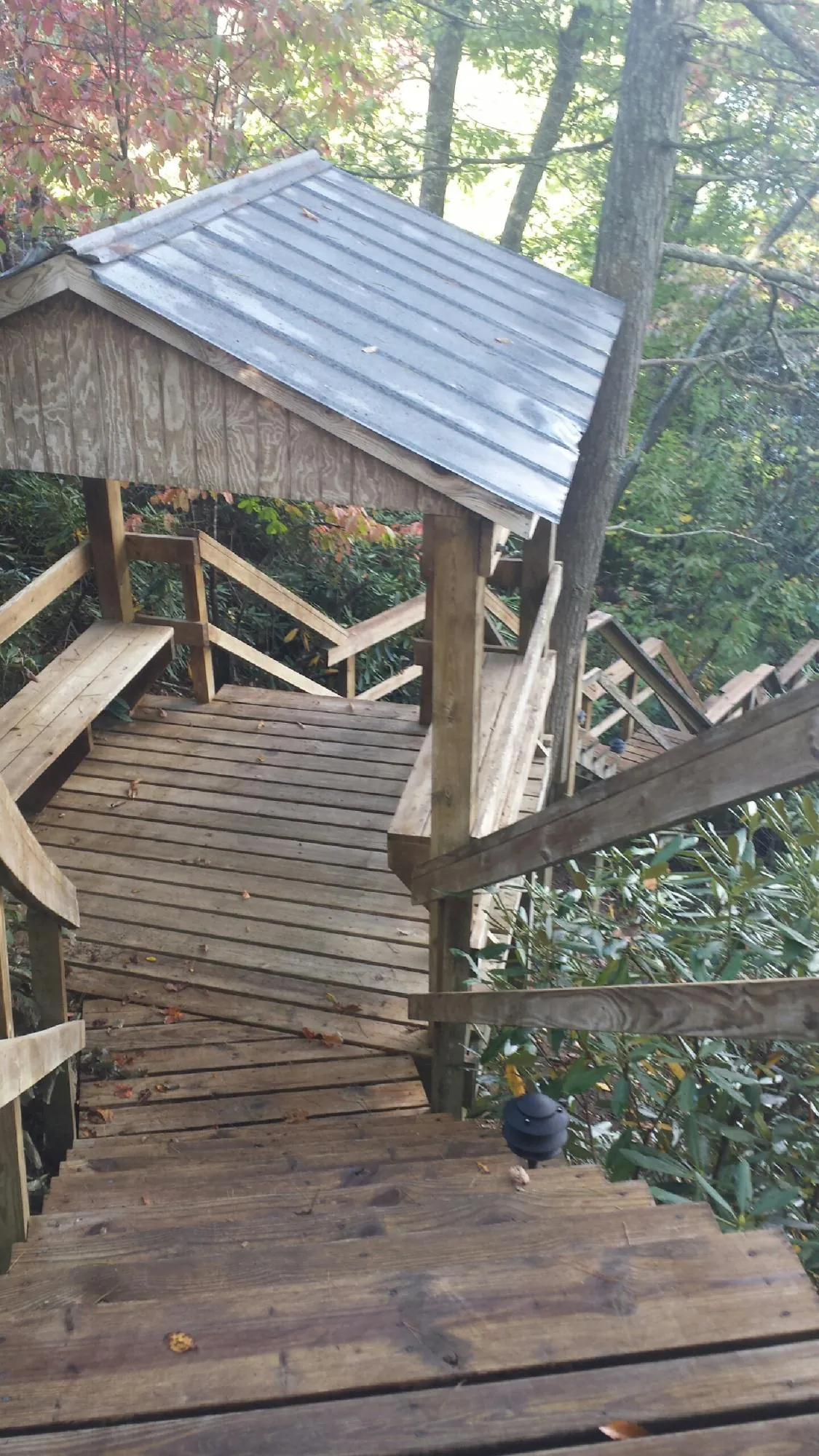 Metal roofed shelter over wooden steps on a wooded walkway — Skylight Repair & Installation work by our crew in Pelahatchie